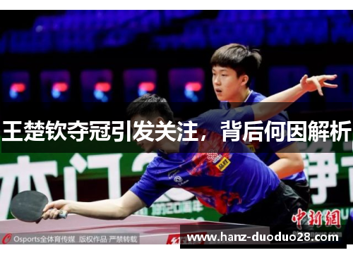 王楚钦夺冠引发关注,背后何因解析 王楚钦夺冠引发关注,背后何因解析